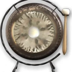 Paiste Deco 10 Inch Gong DRUMS