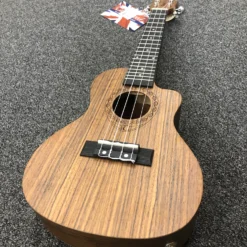 Tanglewood TWT12E TIARE Concert Ukulele OVANGKOL W/pickup & Bag