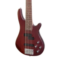 GUITARS J&D LUTHIERS CONTEMPORARY JD-150A5-STBN 5 String Active Electric Bass Guitar
