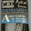 GUITARS CBI 10 FT GTR CABLE A-10