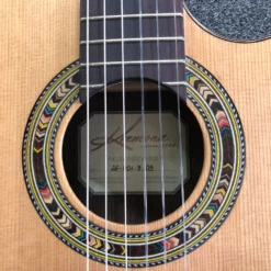 Kremona Fiesta Thinline With Soft/Hard Case