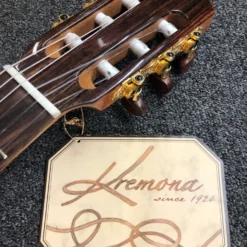 Kremona Fiesta Thinline With Soft/Hard Case