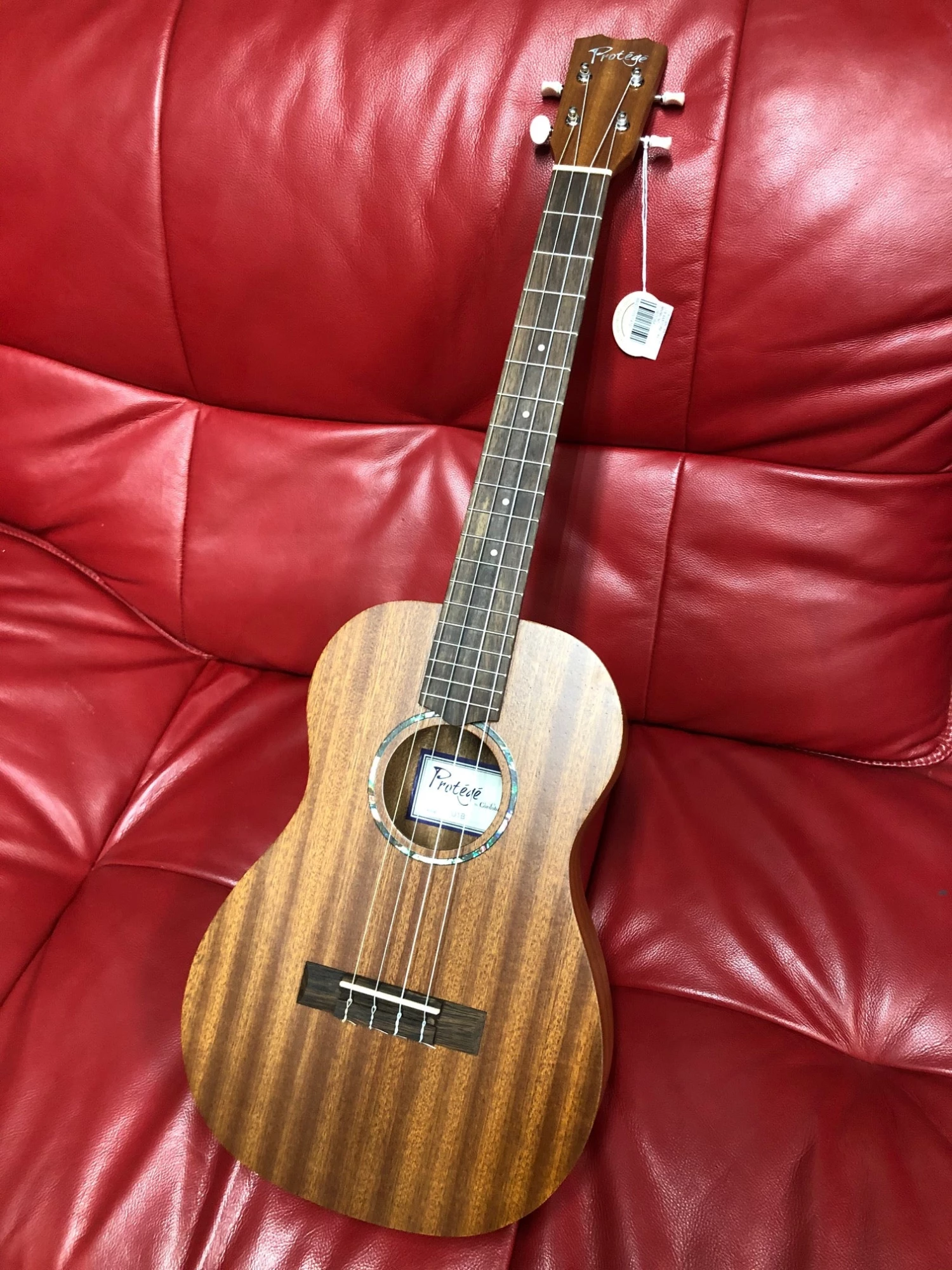 Cordoba Protégé U1B Baritone Ukulele 10 Cordoba Protégé U1B Baritone Ukulele