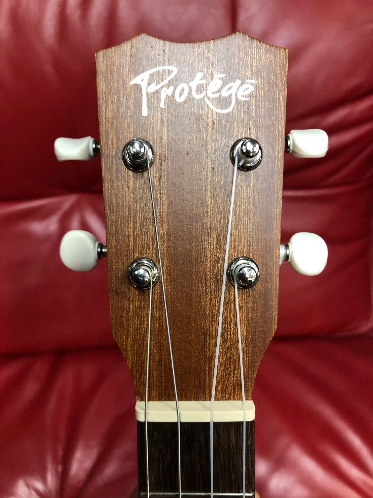 Cordoba Protégé U1B Baritone Ukulele 6 Cordoba Protégé U1B Baritone Ukulele