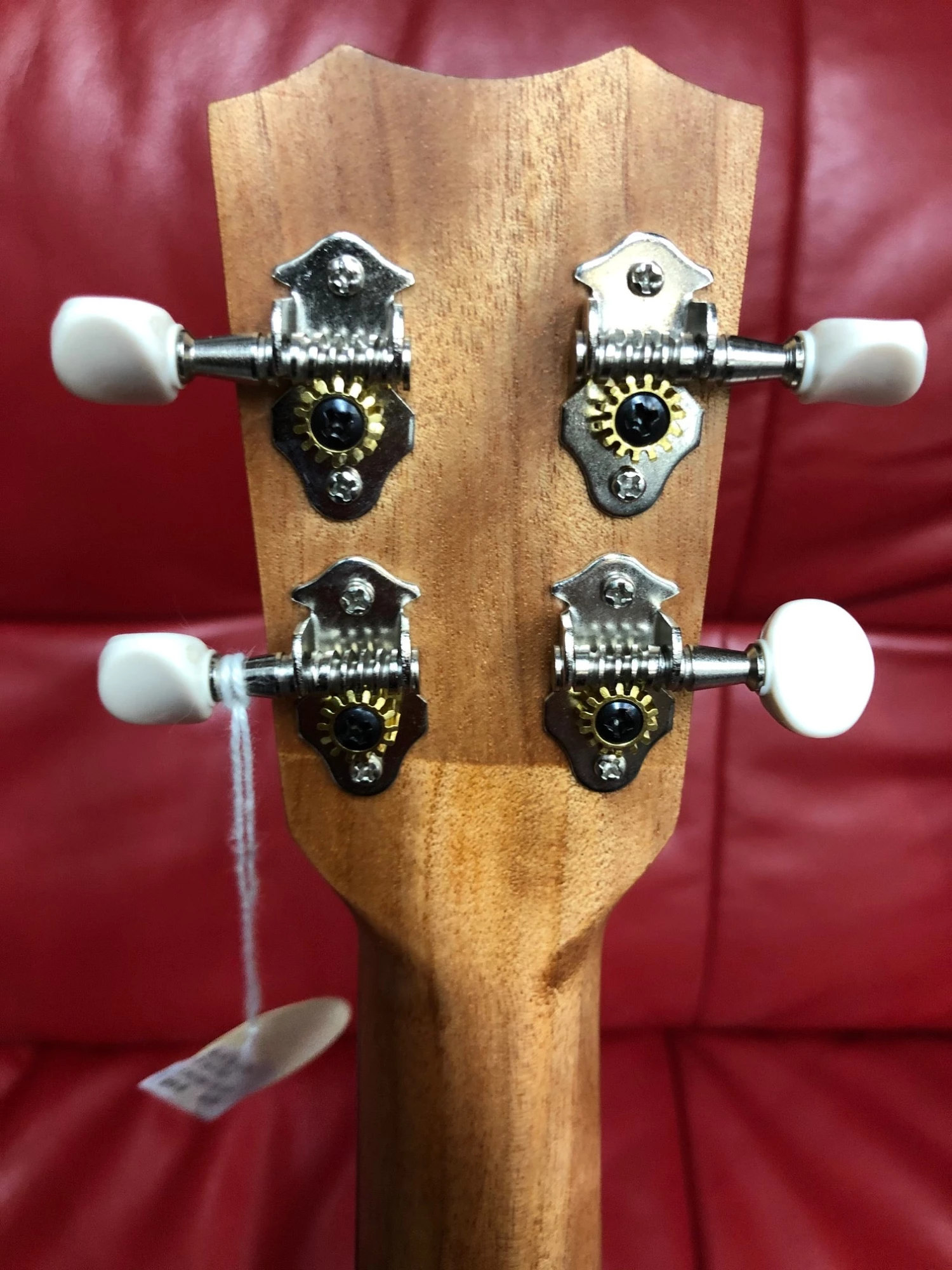 Cordoba Protégé U1B Baritone Ukulele 7 Cordoba Protégé U1B Baritone Ukulele