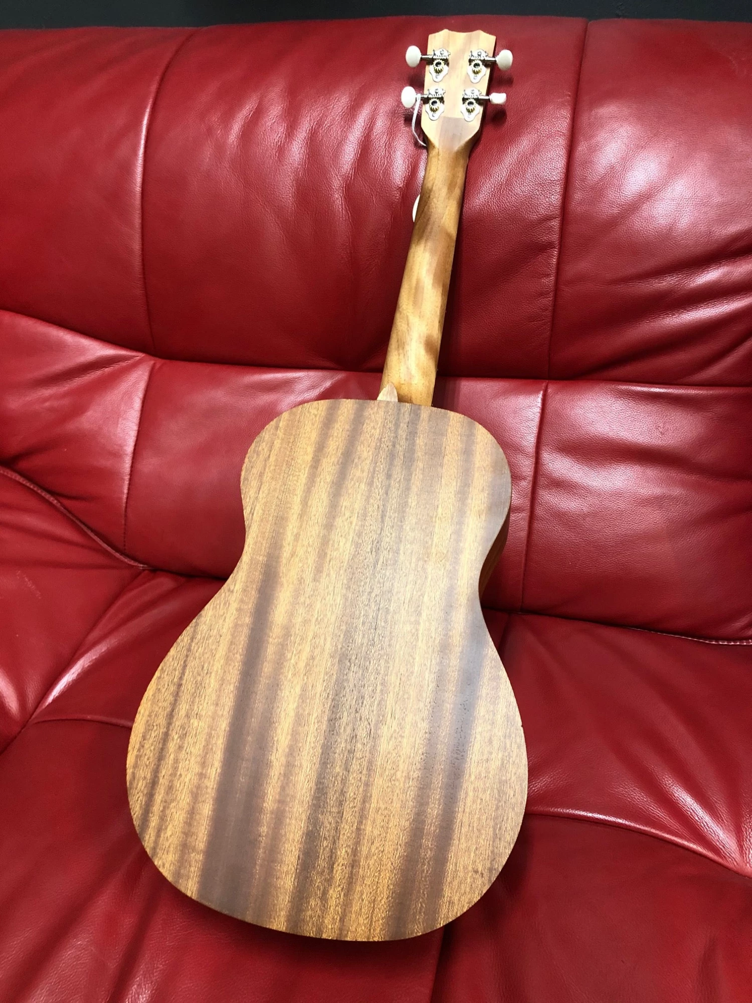 Cordoba Protégé U1B Baritone Ukulele 8 Cordoba Protégé U1B Baritone Ukulele
