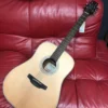 Takamine GD20NS Dreadnought Natural Satin GUITARS
