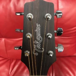 Takamine GD20NS Dreadnought Natural Satin GUITARS