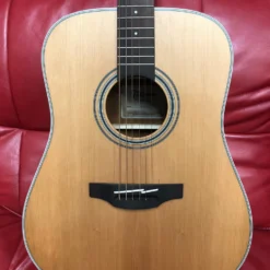 Takamine GD20NS Dreadnought Natural Satin GUITARS