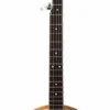GUITARS J.Reynolds 5-String Banjo With Resonator In 2-Tone Sunburst Gloss 1 GUITARS J.Reynolds 5-String Banjo With Resonator In 2-Tone Sunburst Gloss