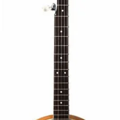 GUITARS J.Reynolds 5-String Banjo With Resonator In 2-Tone Sunburst Gloss