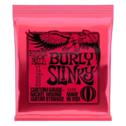GUITARS Ernie Ball Nickel Wound Electric Guitar Strings 25 GUITARS Ernie Ball Nickel Wound Electric Guitar Strings