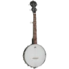Tanglewood 5-String Traveller Banjo (TWBT) GUITARS