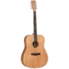 Tanglewood UNION Dreadnought With Solid Top - TWUD