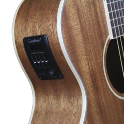 GUITARS Tanglewood UNION Superfolk With Solid Top, Pickup/Tuner And Cutaway - TWUSFCE