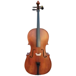 Stringed Instruments Vivo Student 1/2 Cello Outfit With Professional Setup
