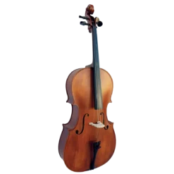 Stringed Instruments Vivo Neo Student 4/4 Violin Outfit With Professional Setup - VINEO44U