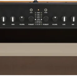 GUITARS Fender Acoustic 100 240V AUS