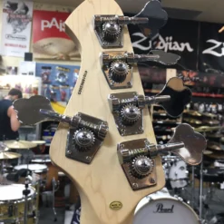 Aria Pro II 5 String Bass Guitar Black With Gold Guard GUITARS