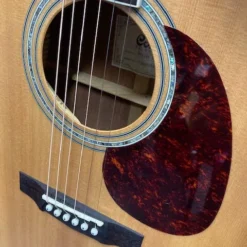 Cort MR710 Spruce / Blackwood W/ Hardcase ( Preloved) Pickup Not Working