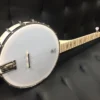 Deering Goodtime Openback 5-String Banjo