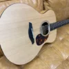 Furch Blue Acoustic Electric Guitar W/ Gigbag Made In Czech Republic GUITARS