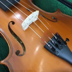Gliga III 3/4 Violin Outfit With Set Up