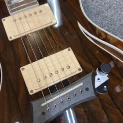 Michael Kelly Hybrid Special Ziricote Top Electric/acoustic Guitar GUITARS