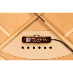 GUITARS LR Baggs Lyric Microphone Guitar System