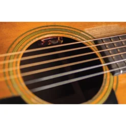 GUITARS LR Baggs Lyric Microphone Guitar System