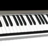 DIGITAL PIANOS/KEYBOARDS Acorn Instruments Masterkey 61 USB Controller Keyboard