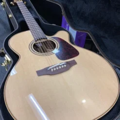 Takamine Pro Series 5 NEX AC/EL Guitar With Cutaway In Natural Gloss Finish Acoustic Guitars