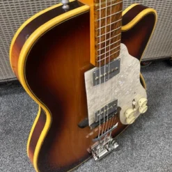 Electric Guitars Vintage Roger Custom Thinline Electric Guitar W/ Case 22 Electric Guitars Vintage Roger Custom Thinline Electric Guitar W/ Case