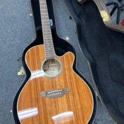 GUITARS Takamine Legacy Series NEX AC/EL Guitar With Cutaway In Natural Gloss Finish