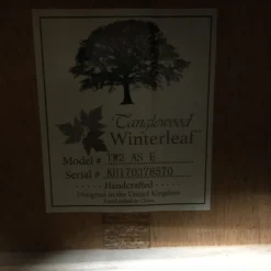 Tanglewood TW2ASEWC All Solid Timber Guitar GUITARS 13 Tanglewood TW2ASEWC All Solid Timber Guitar GUITARS