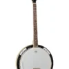 Tanglewood UNION 4-String Banjo (TWB18-M4) GUITARS