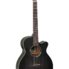 GUITARS Tanglewood BLACKBIRD Superfolk Acoustic TWBBSFCE