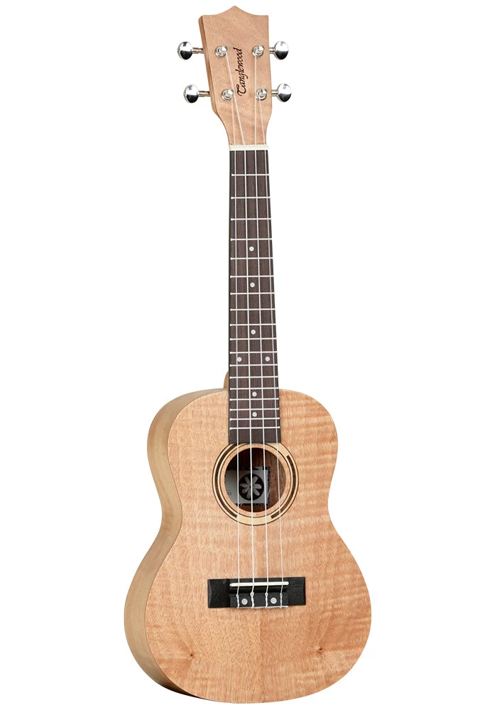 GUITARS Tanglewood TIARE Flamed Mahogany Concert Ukulele - TWT6B 3 GUITARS Tanglewood TIARE Flamed Mahogany Concert Ukulele - TWT6B