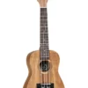 GUITARS Tanglewood TIARE All Koa Concert Ukulele - TWT8B