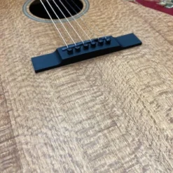 Walton Custom 007 Sily Oak Acoustic Guitar