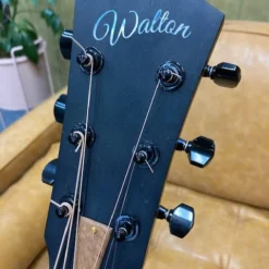 Walton Custom 007 Sily Oak Acoustic Guitar